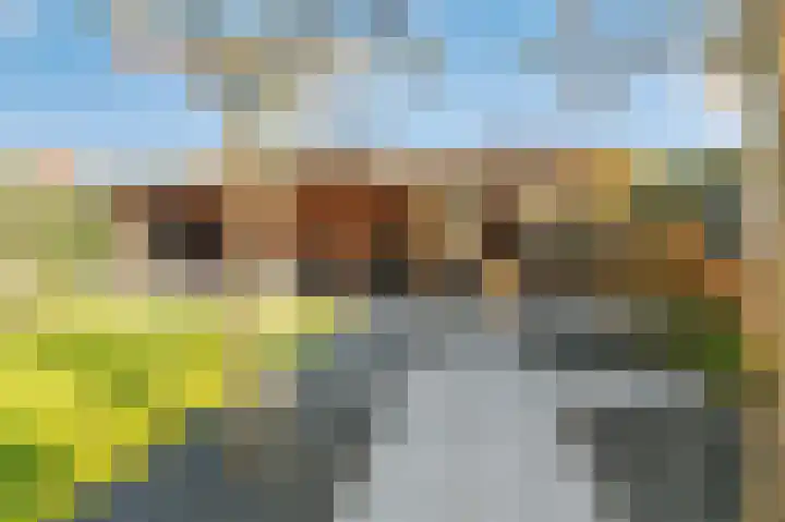 Nieuwstraat 43 Pannerden thumbnail 48