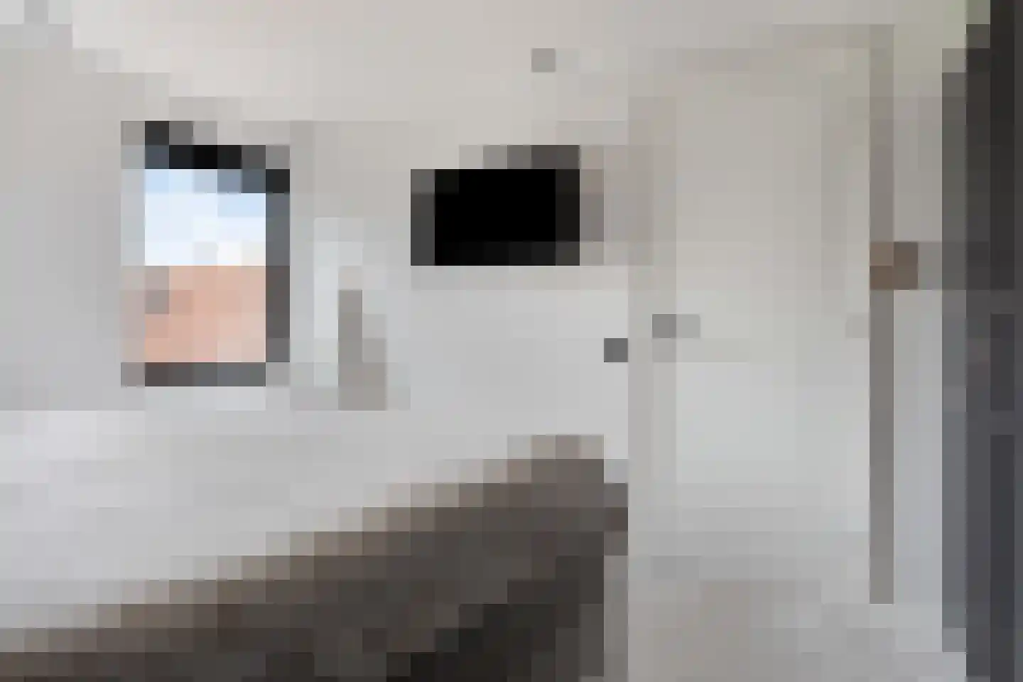 Nieuwstraat 43 Tilburg thumbnail 15
