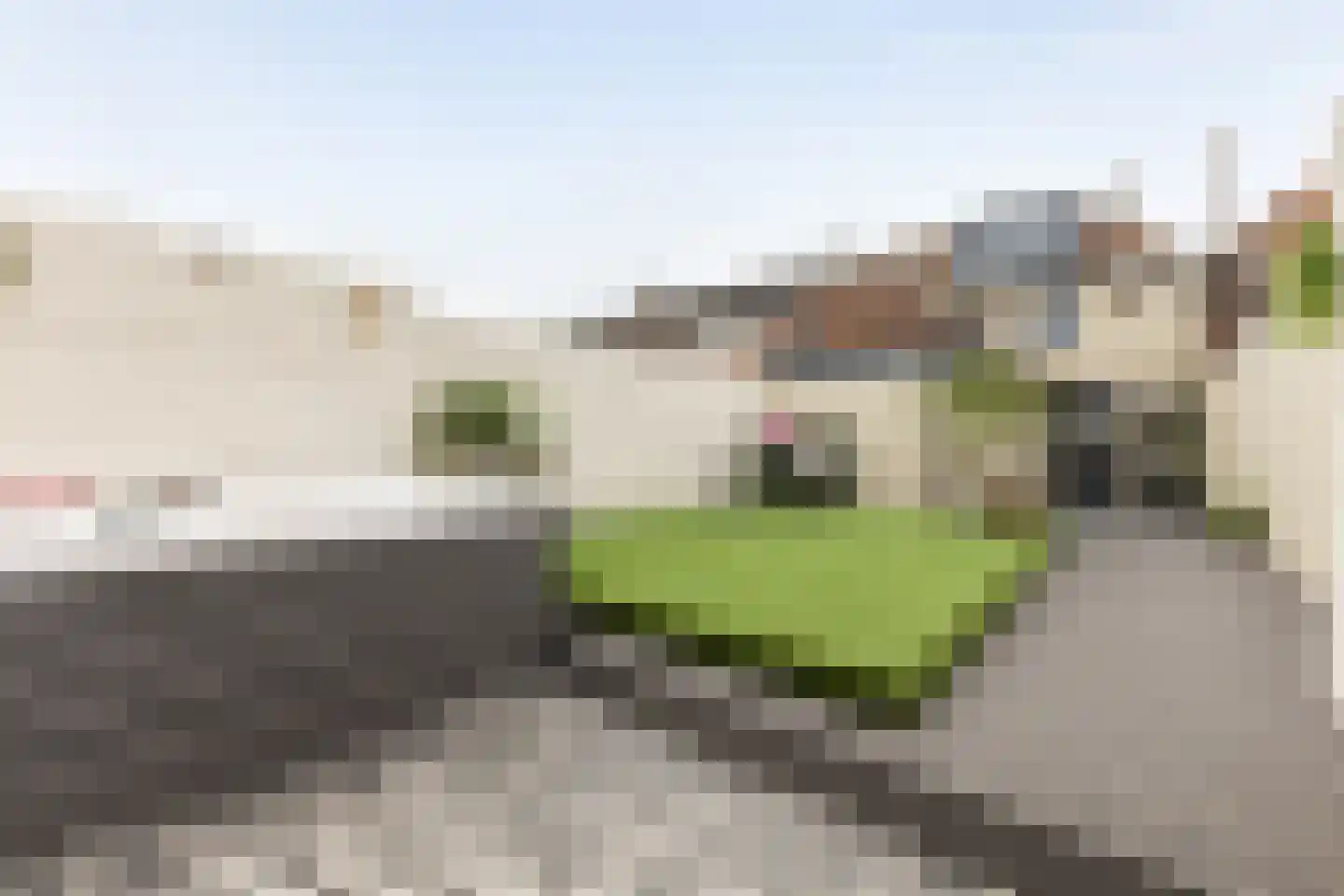 Nieuwstraat 43 Tilburg thumbnail 33