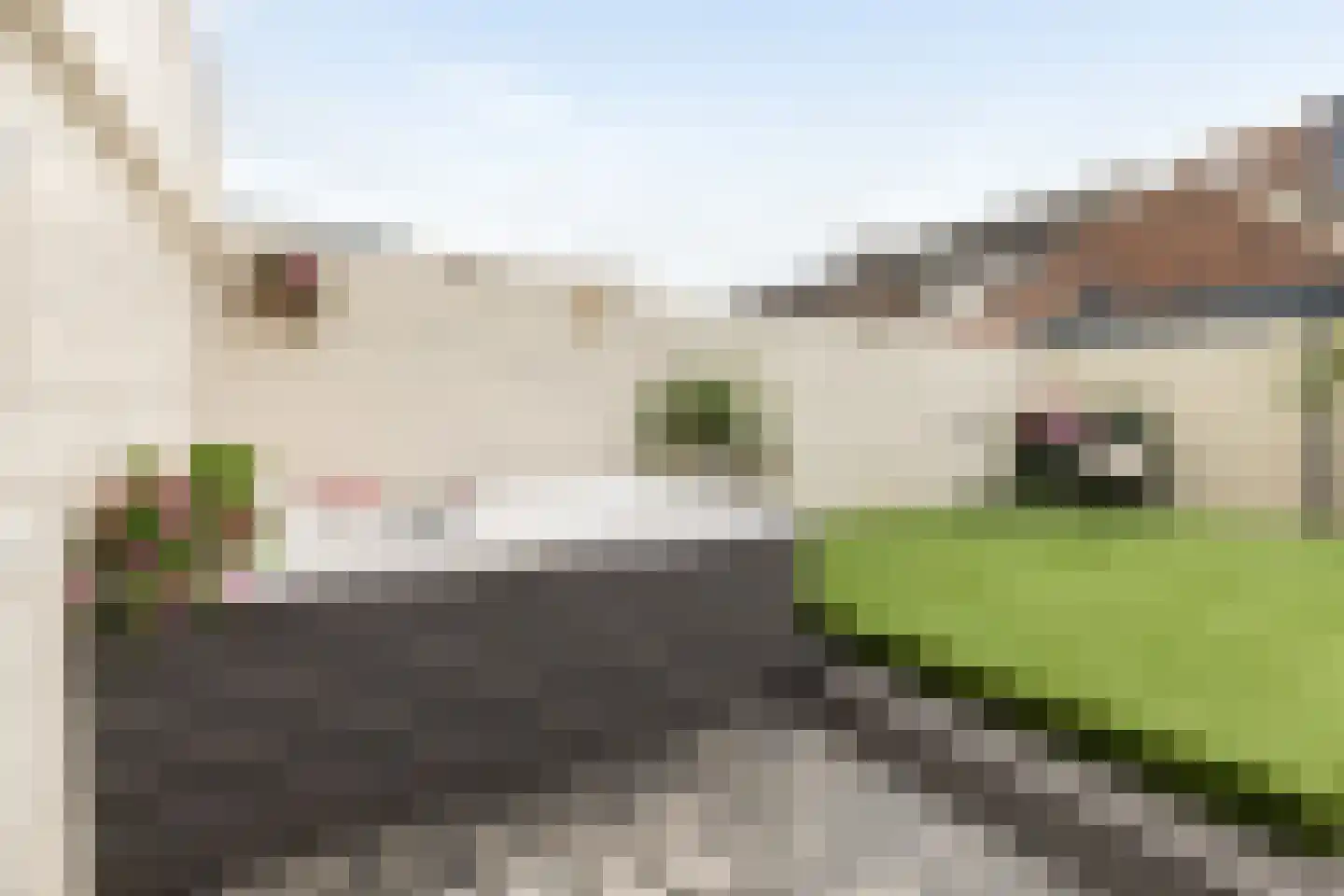 Nieuwstraat 43 Tilburg thumbnail 35