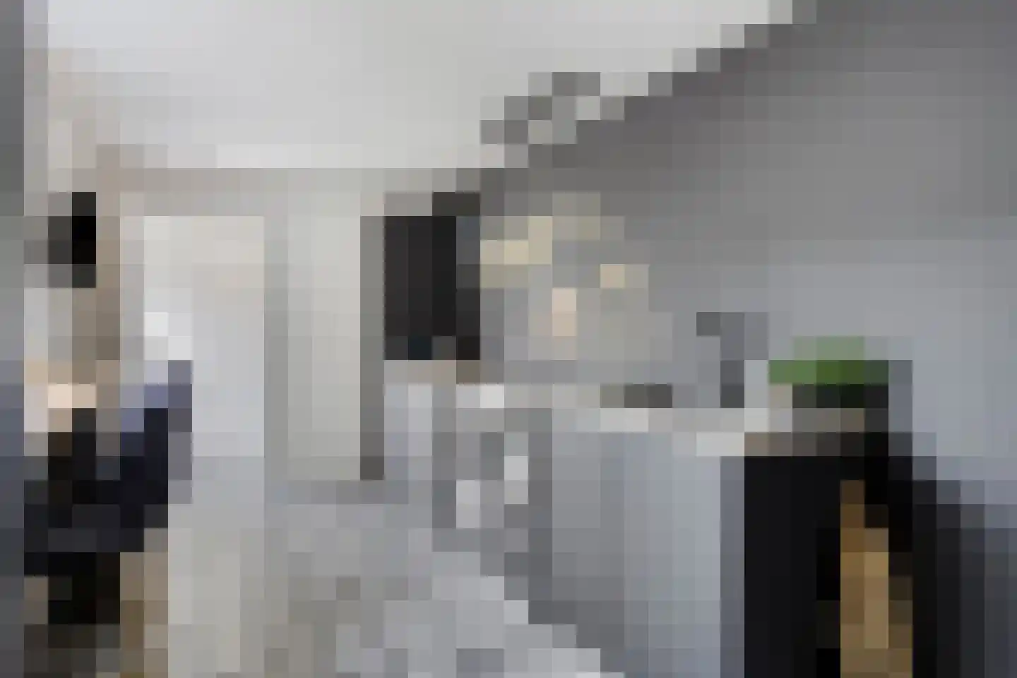 Nieuwstraat 43 Tilburg thumbnail 6