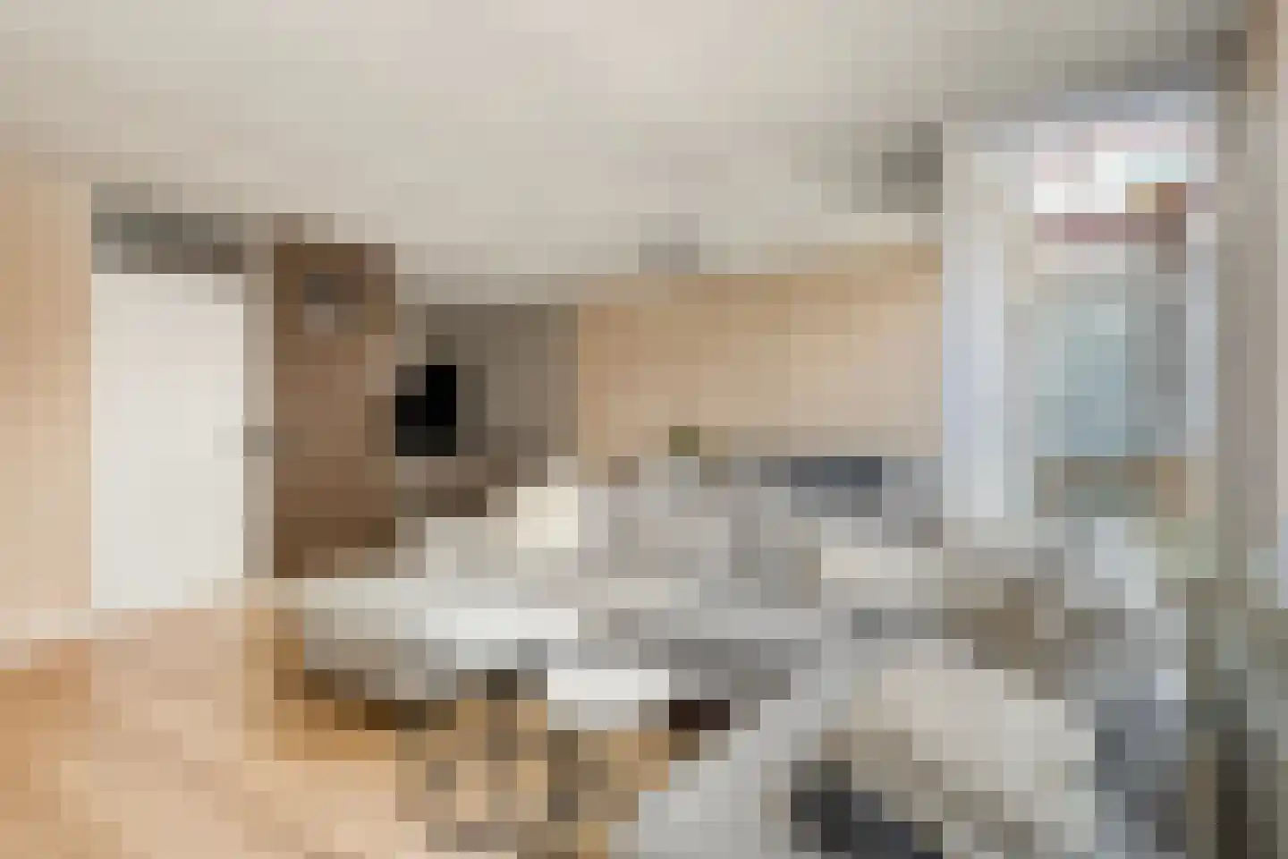 Nieuwstraat 44 D Apeldoorn thumbnail 4