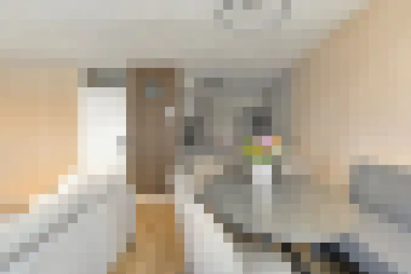 Nieuwstraat 44 D Apeldoorn thumbnail 9