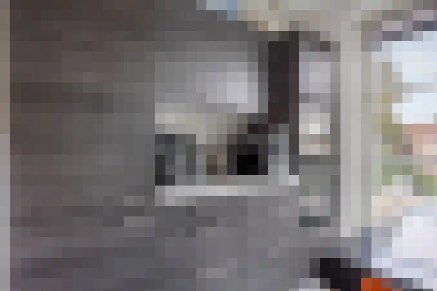 Nieuwstraat 44 Leidschendam thumbnail 10