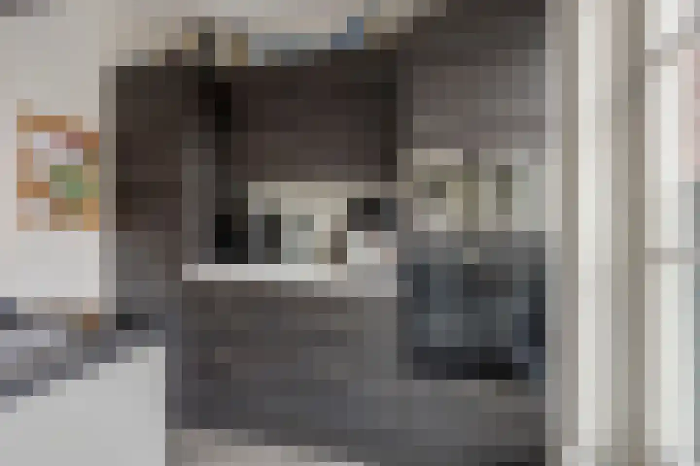 Nieuwstraat 44 Leidschendam thumbnail 12