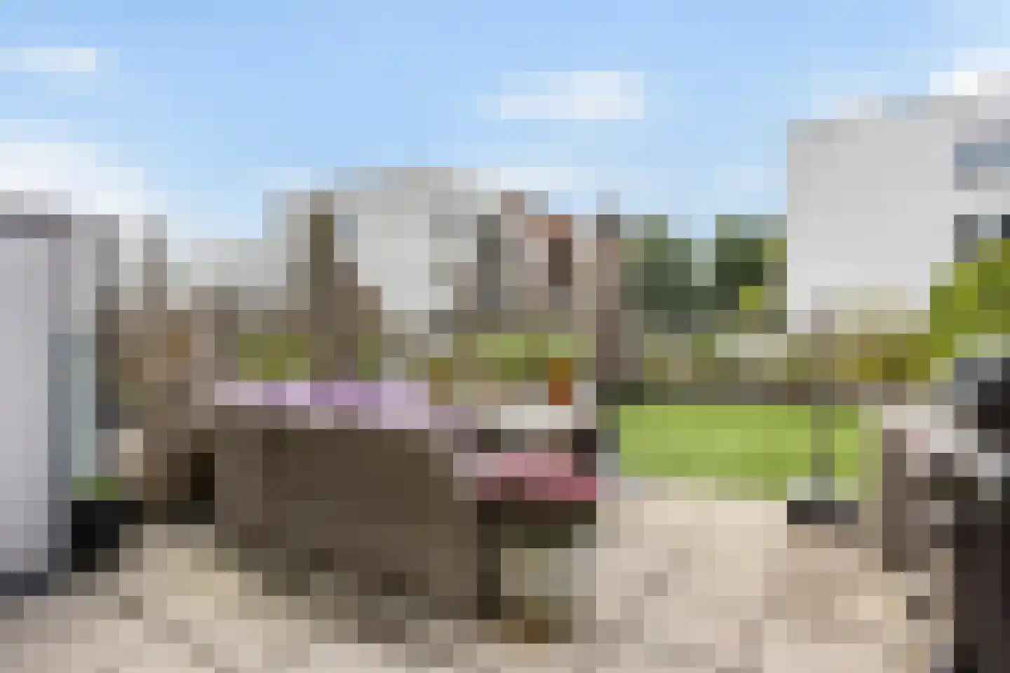 Nieuwstraat 44 Leidschendam thumbnail 30