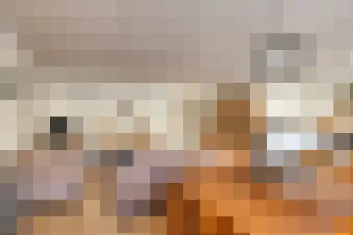 Nieuwstraat 44 Purmerend thumbnail 13