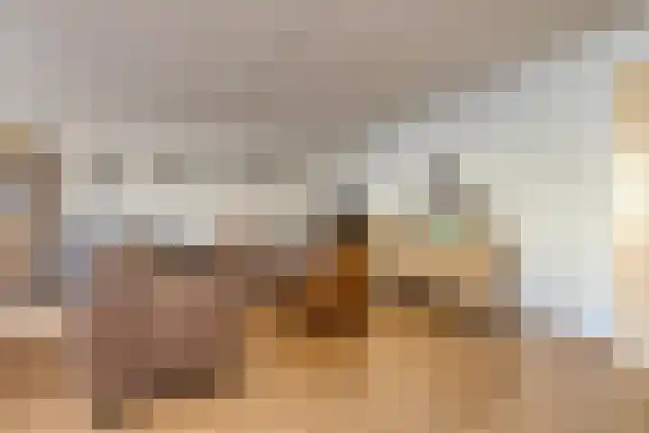 Nieuwstraat 44 Purmerend thumbnail 15
