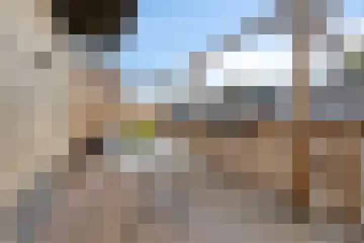 Nieuwstraat 44 Purmerend thumbnail 28