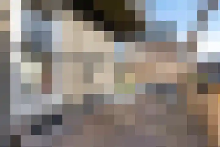 Nieuwstraat 44 Purmerend thumbnail 29