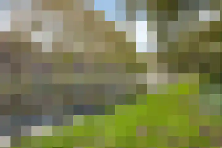Nieuwstraat 44 Purmerend thumbnail 36