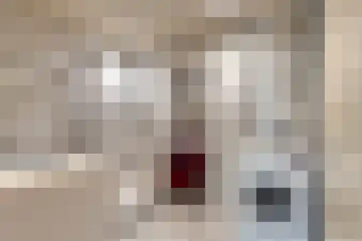 Nieuwstraat 44 Purmerend thumbnail 4