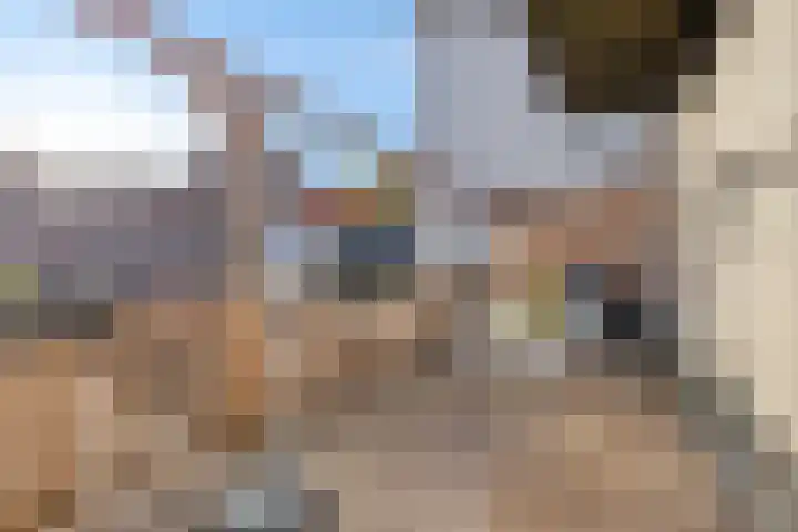 Nieuwstraat 44 Purmerend thumbnail 5
