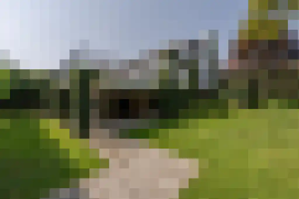 Nieuwstraat 44 Westmaas thumbnail 11