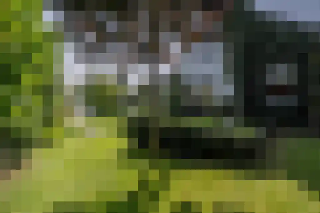 Nieuwstraat 44 Westmaas thumbnail 12