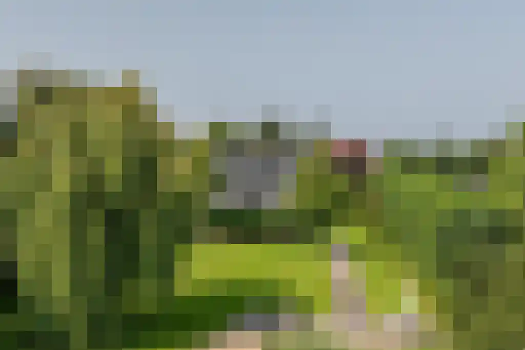 Nieuwstraat 44 Westmaas thumbnail 18