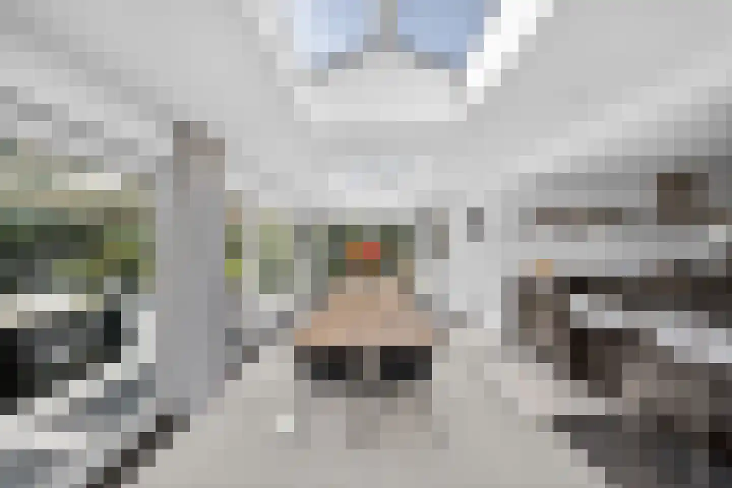 Nieuwstraat 44 Westmaas thumbnail 23