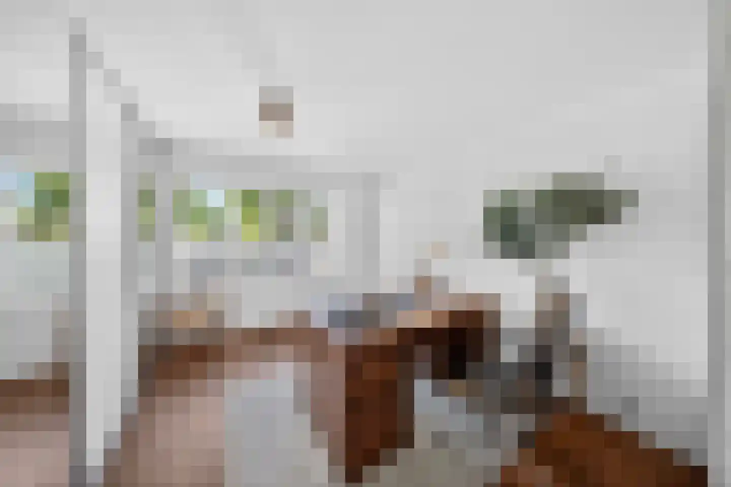 Nieuwstraat 44 Westmaas thumbnail 28
