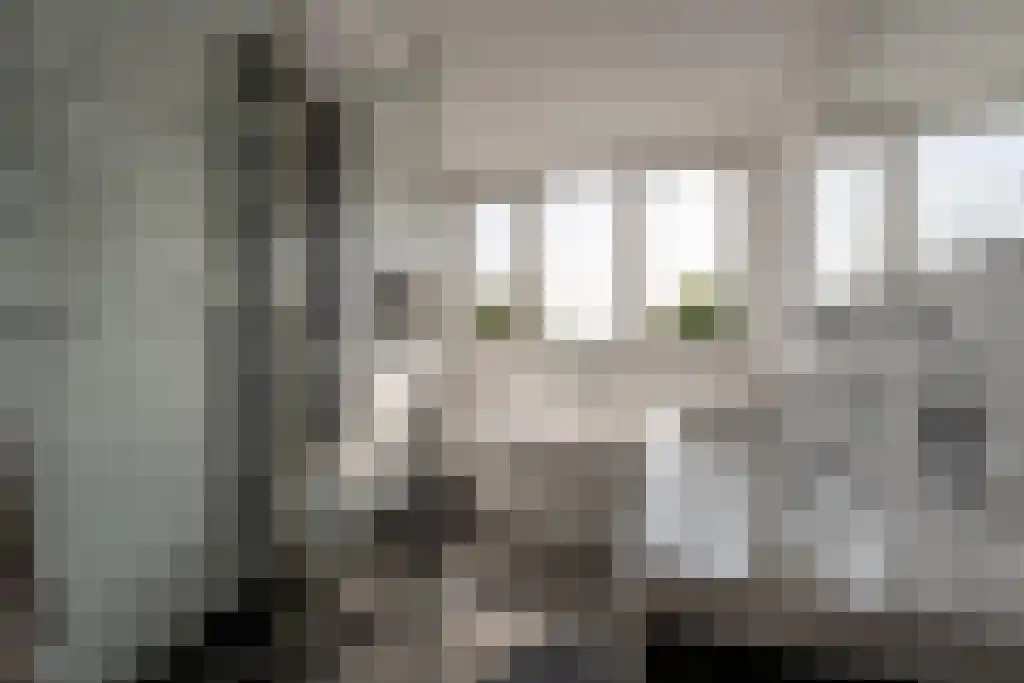 Nieuwstraat 44 Westmaas thumbnail 30
