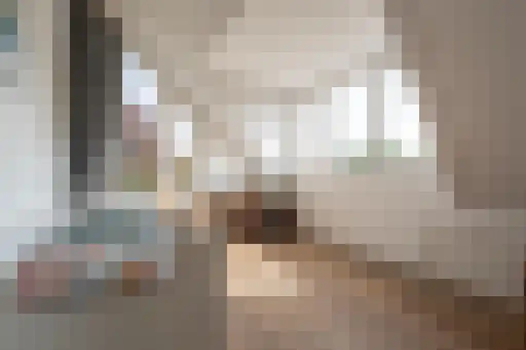 Nieuwstraat 44 Westmaas thumbnail 31