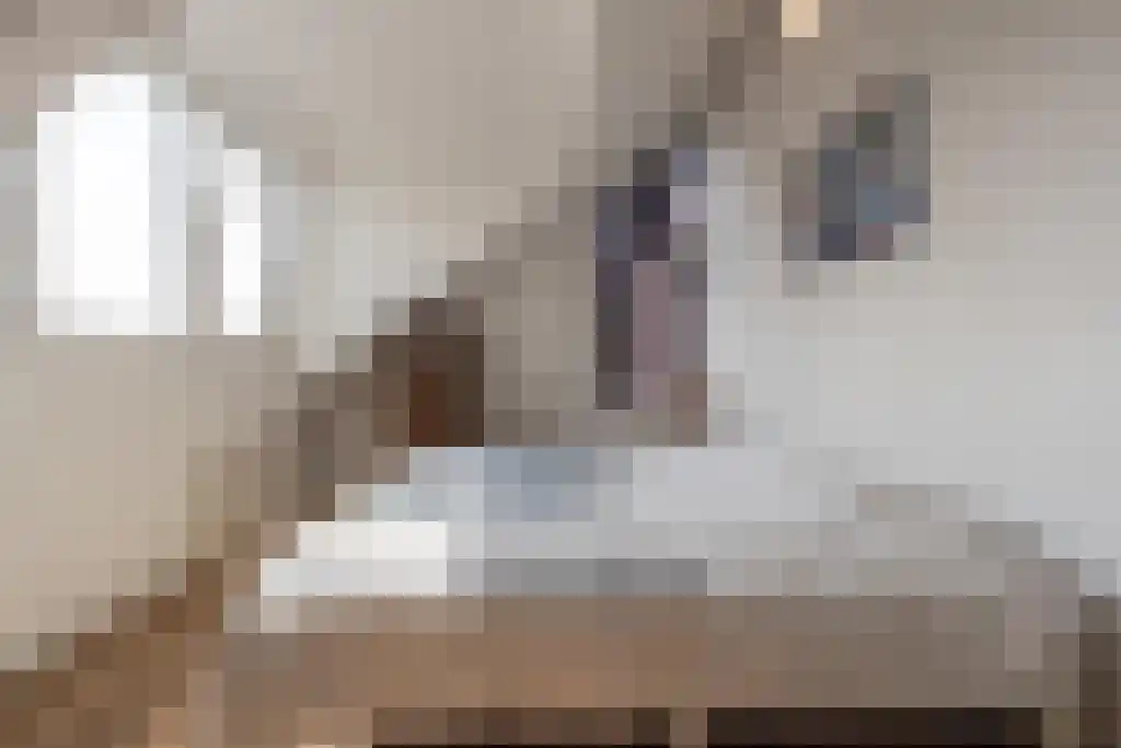 Nieuwstraat 44 Westmaas thumbnail 32