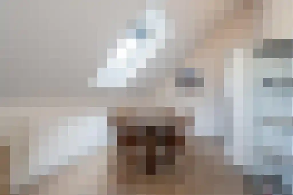 Nieuwstraat 44 Westmaas thumbnail 34