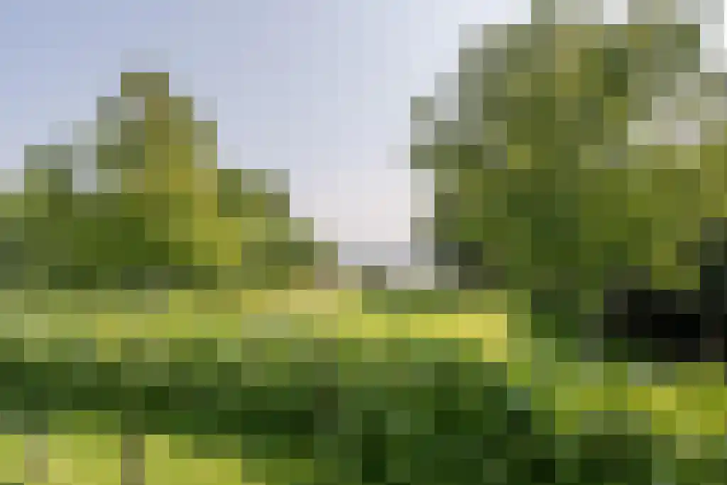 Nieuwstraat 44 Westmaas thumbnail 4