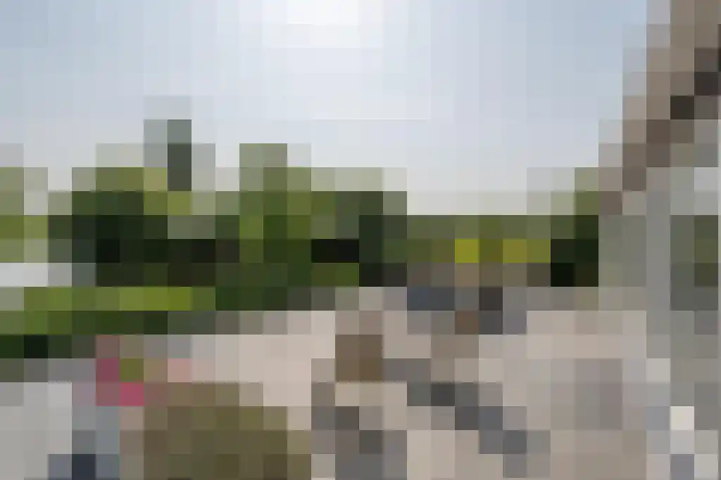 Nieuwstraat 44 Westmaas thumbnail 5