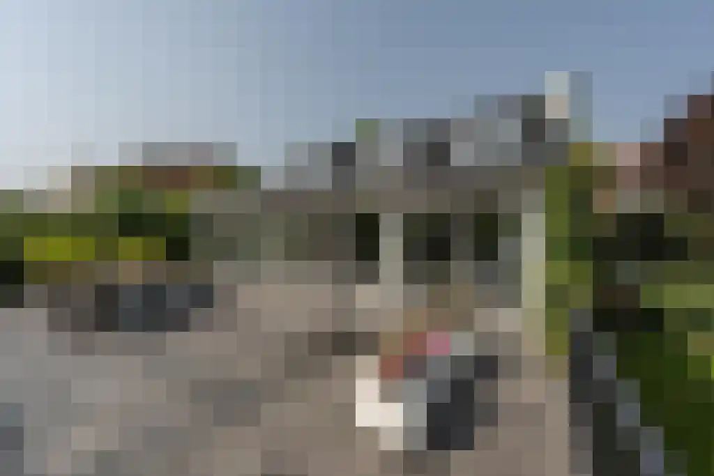 Nieuwstraat 44 Westmaas thumbnail 8