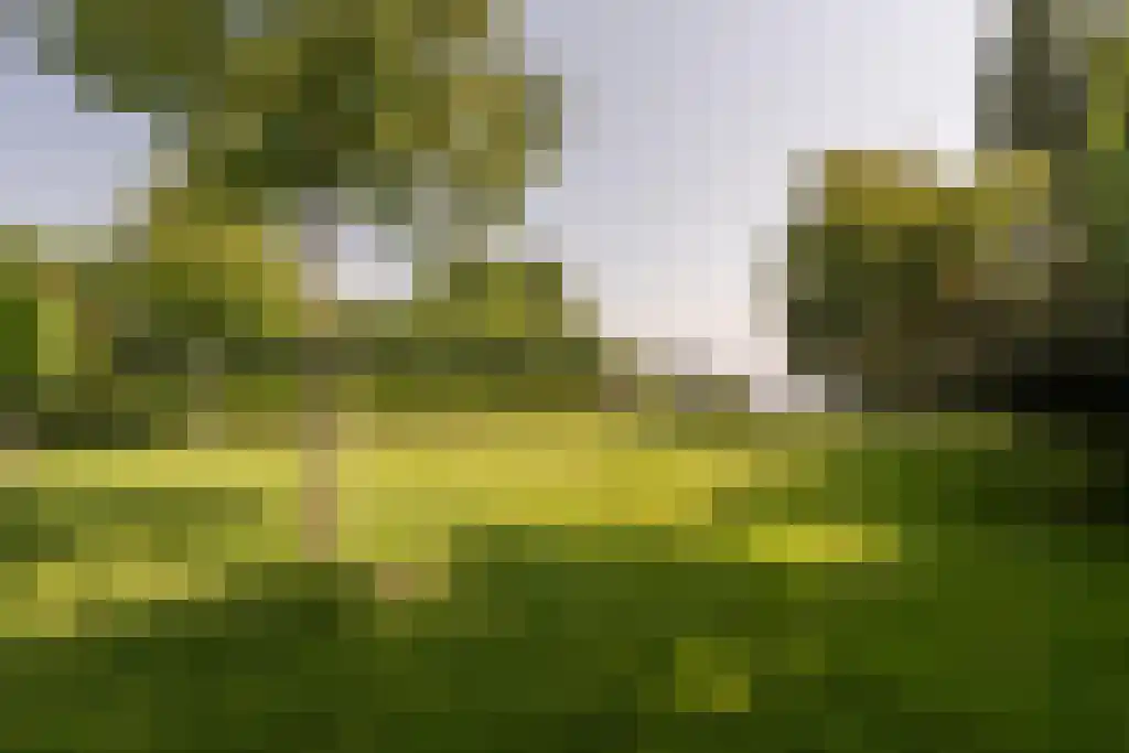 Nieuwstraat 44 Westmaas thumbnail 9