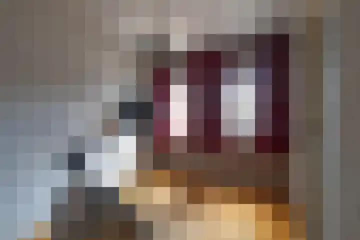 Nieuwstraat 45 a Stein thumbnail 10