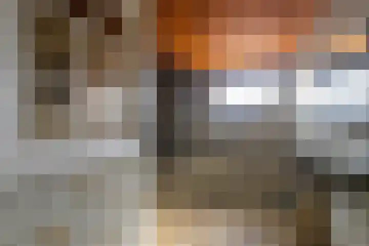 Nieuwstraat 45 a Stein thumbnail 16