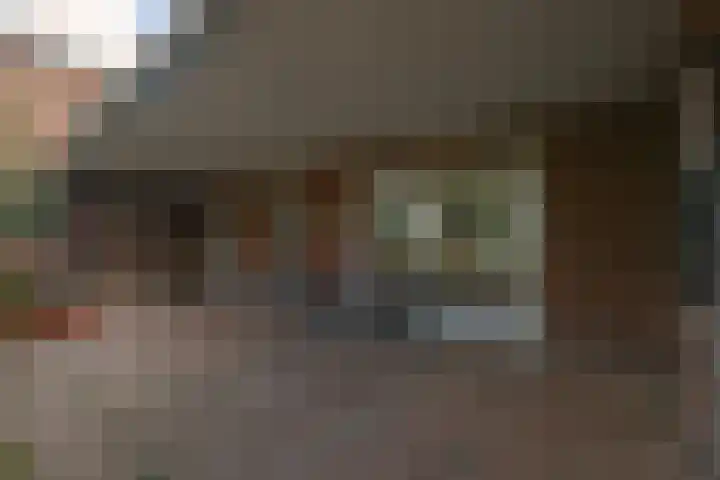 Nieuwstraat 45 a Stein thumbnail 19