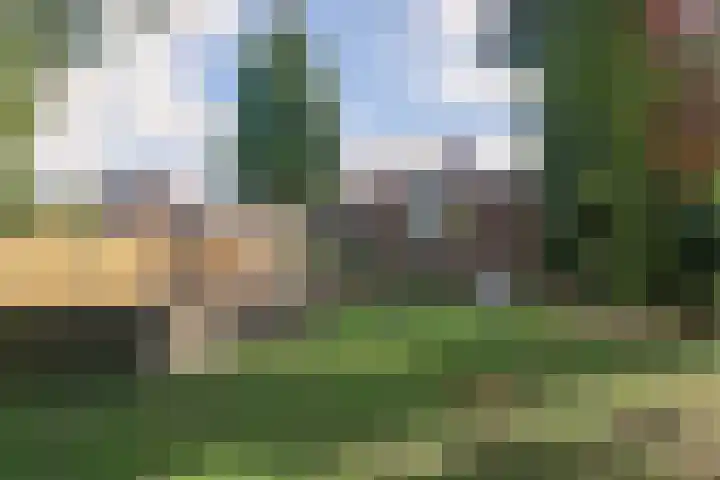 Nieuwstraat 45 a Stein thumbnail 21