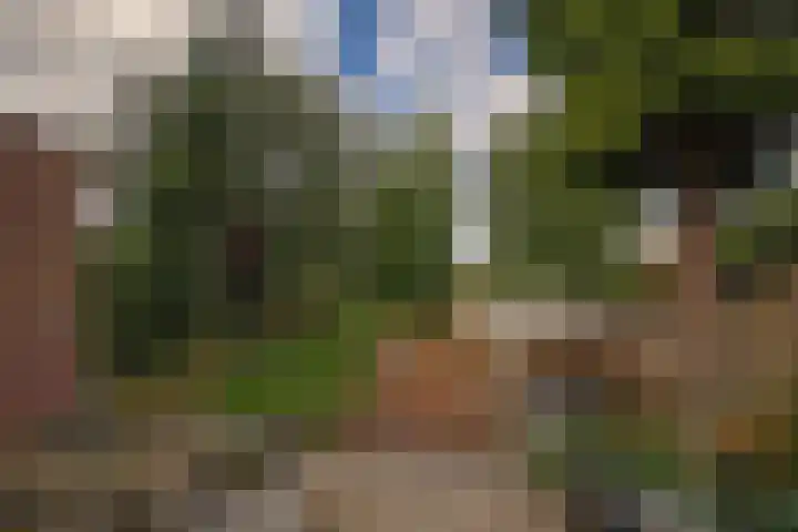 Nieuwstraat 45 a Stein thumbnail 24