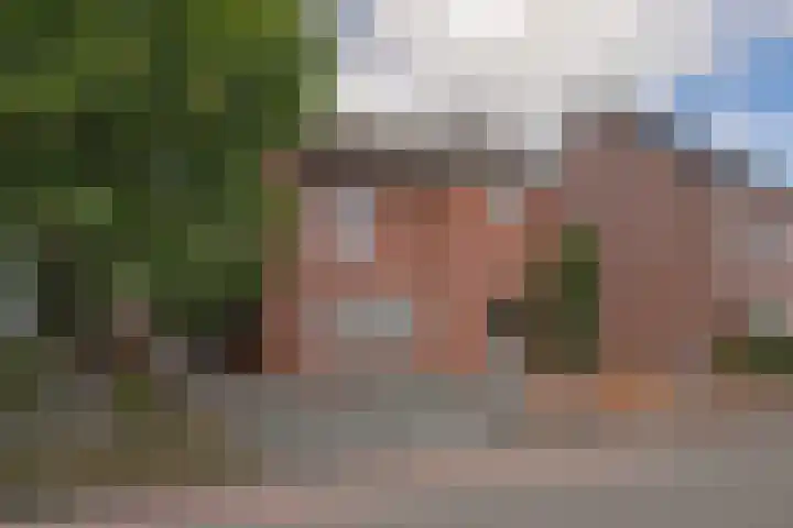 Nieuwstraat 45 a Stein thumbnail 27