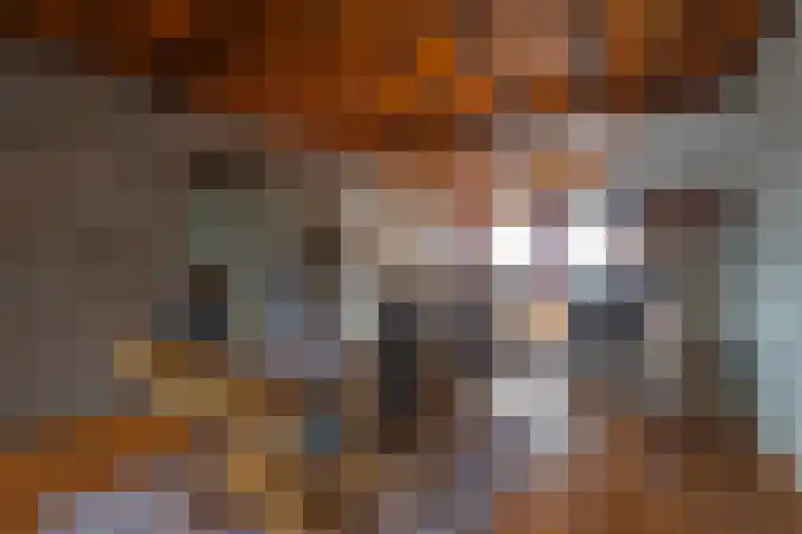 Nieuwstraat 45 a Stein thumbnail 7