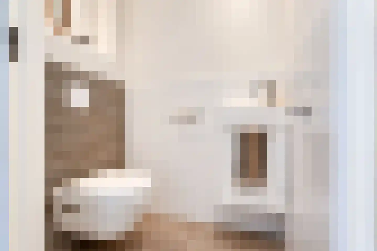 Nieuwstraat 46 Leidschendam thumbnail 10