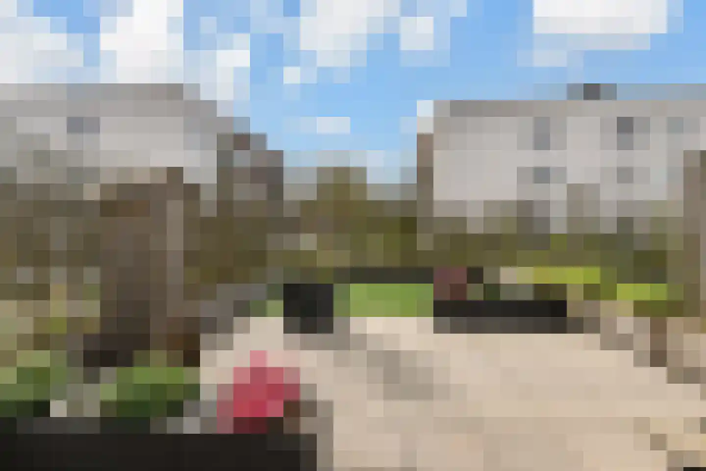 Nieuwstraat 46 Leidschendam thumbnail 18
