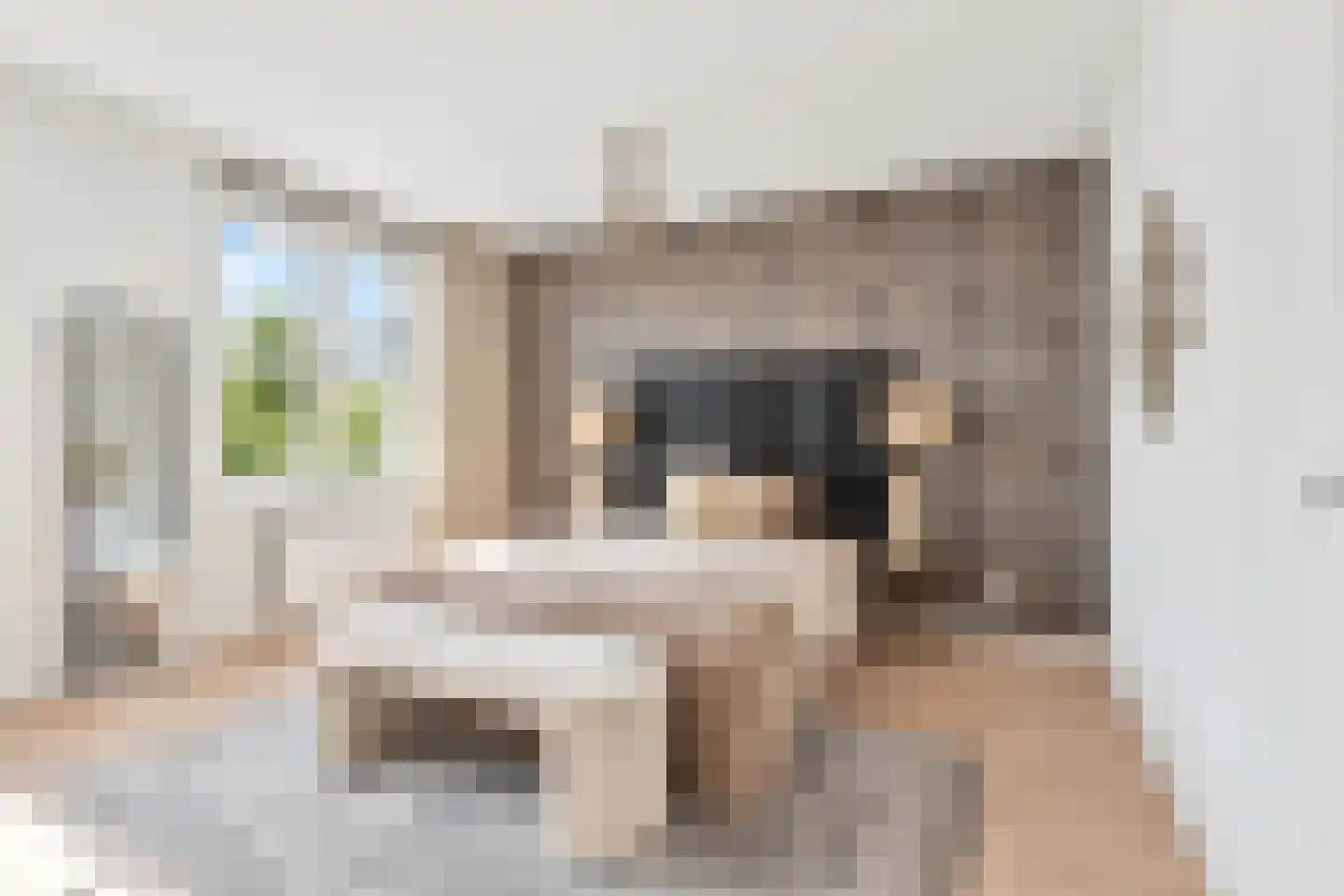 Nieuwstraat 46 Leidschendam thumbnail 24