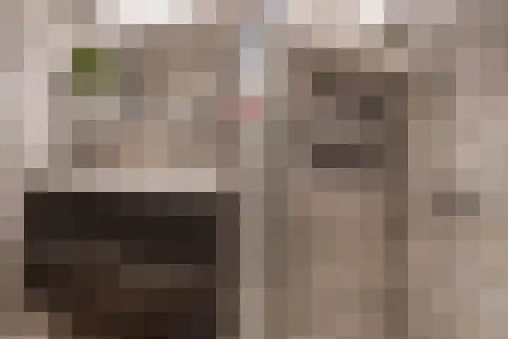Nieuwstraat 46 Nieuw-Vennep thumbnail 20