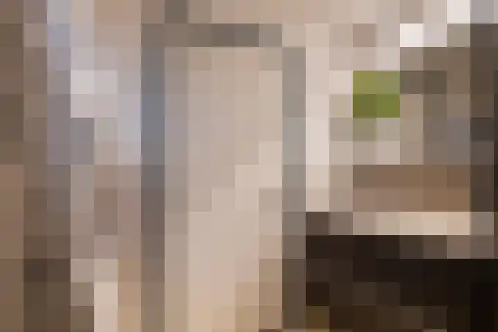 Nieuwstraat 46 Nieuw-Vennep thumbnail 21