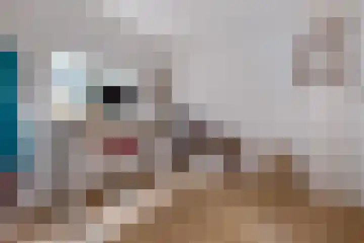 Nieuwstraat 46 Nieuw-Vennep thumbnail 27