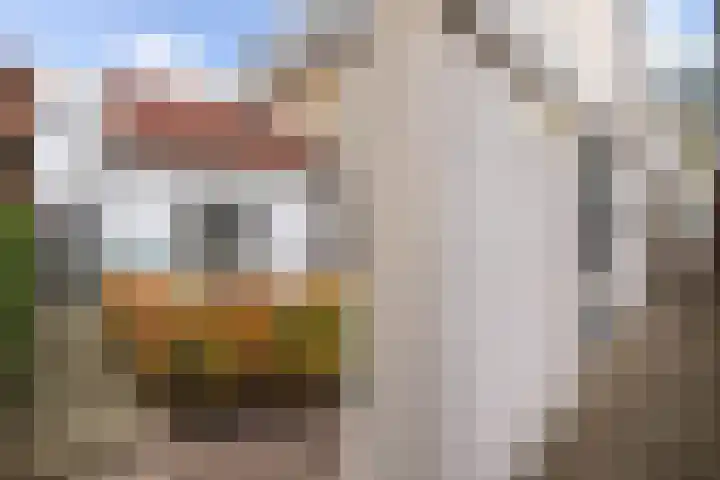 Nieuwstraat 46 Nieuw-Vennep thumbnail 7