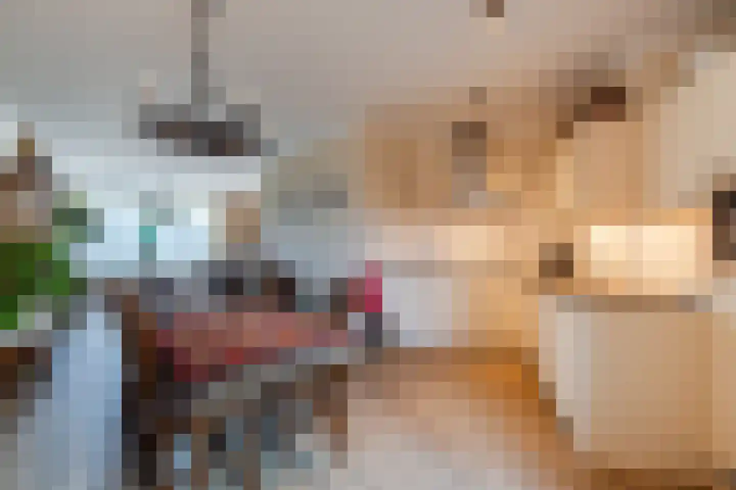 Nieuwstraat 46 Wouw thumbnail 18