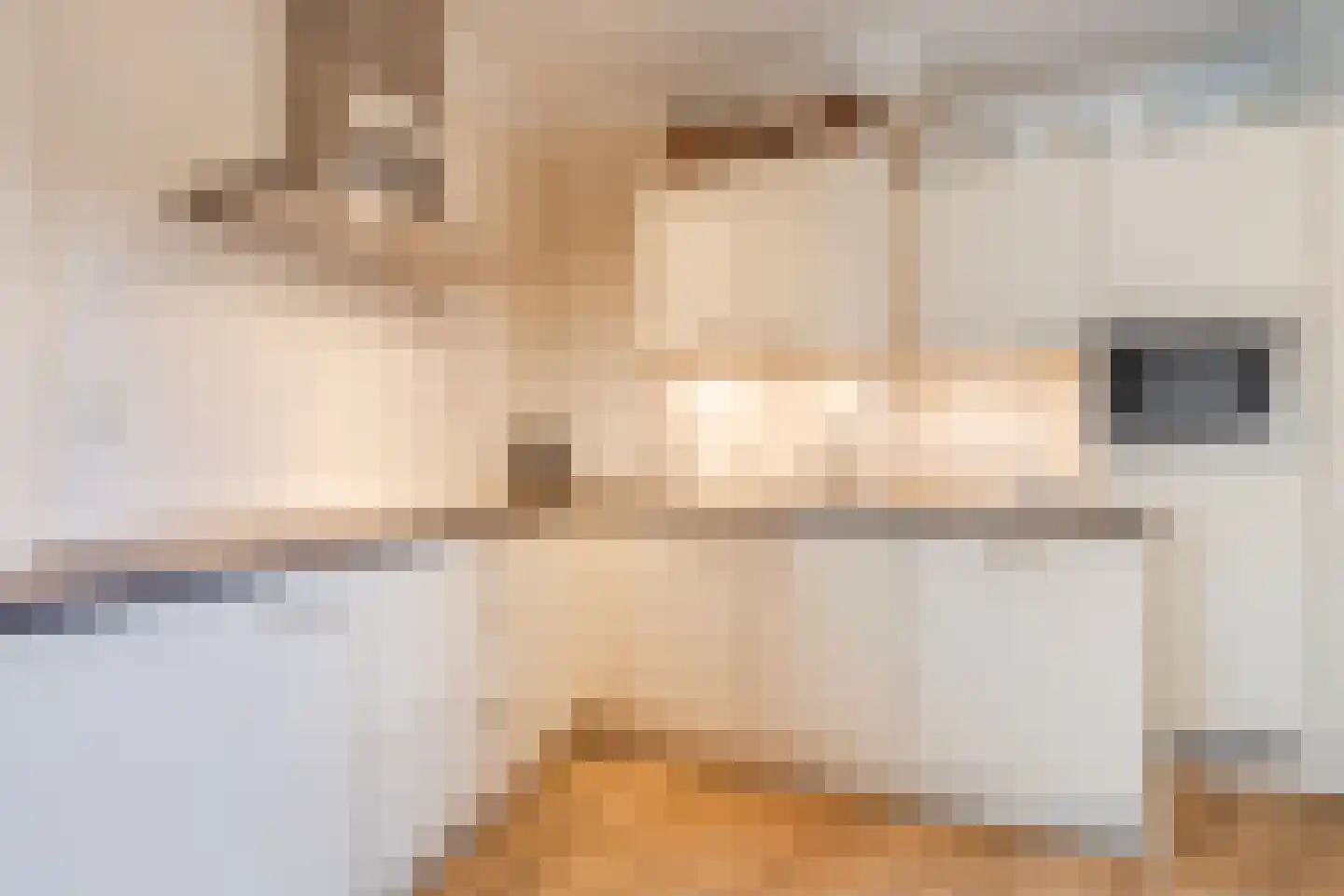 Nieuwstraat 46 Wouw thumbnail 19