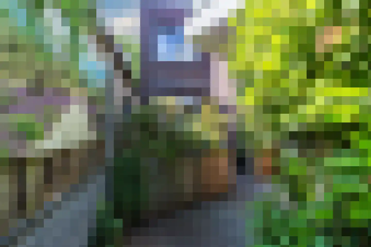 Nieuwstraat 46 Wouw thumbnail 30