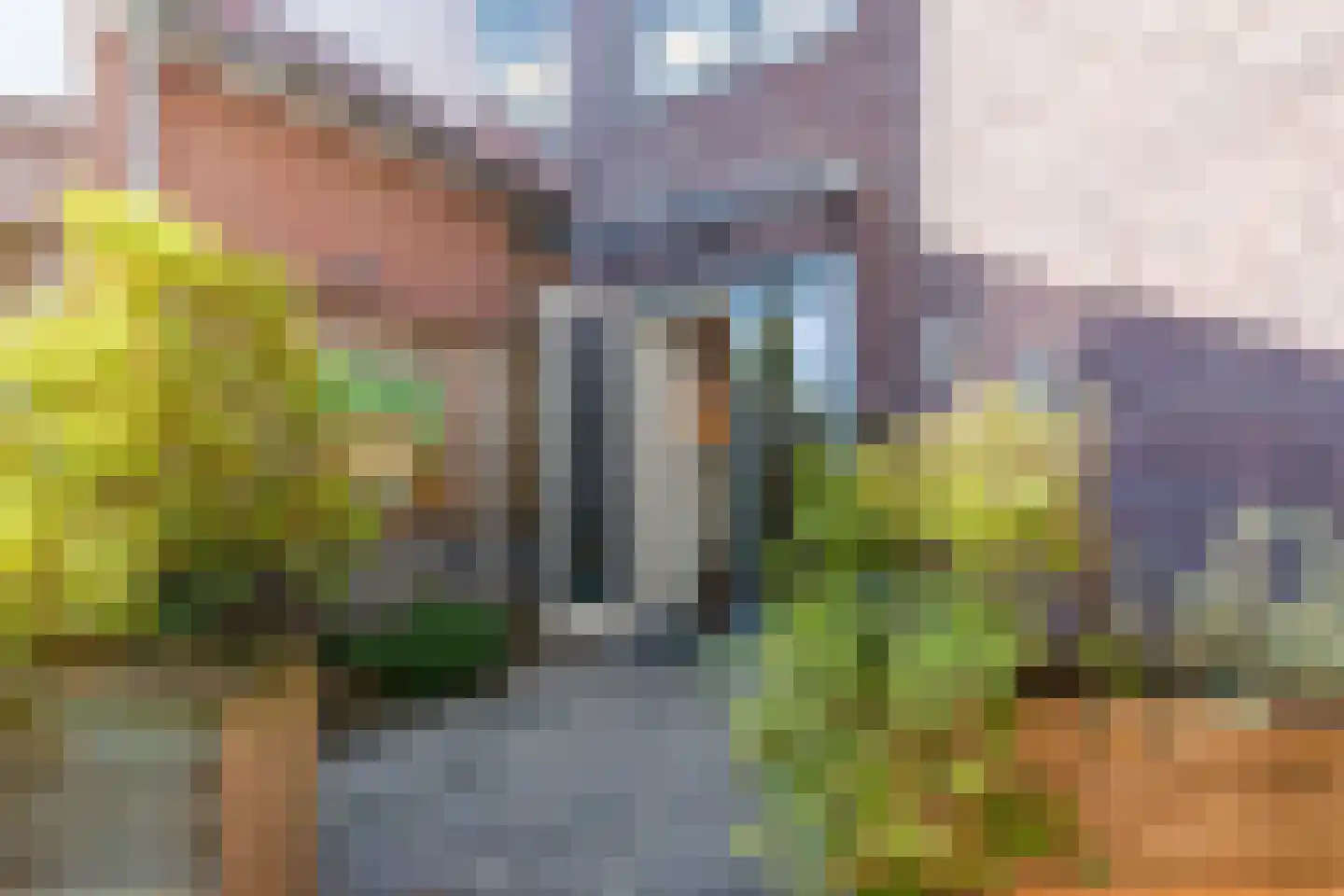 Nieuwstraat 46 Wouw thumbnail 5