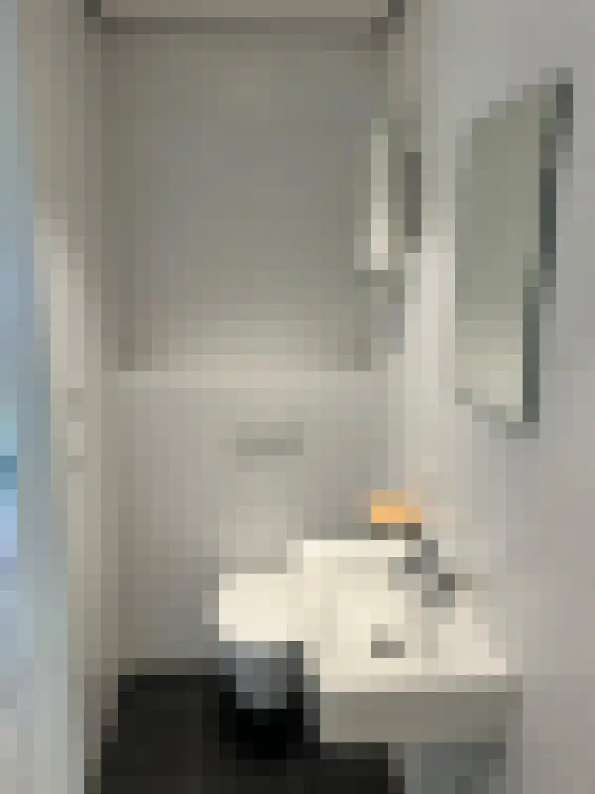 Nieuwstraat 47 Budel thumbnail 5