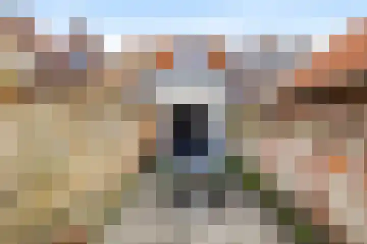 Nieuwstraat 47 Vlissingen thumbnail 15